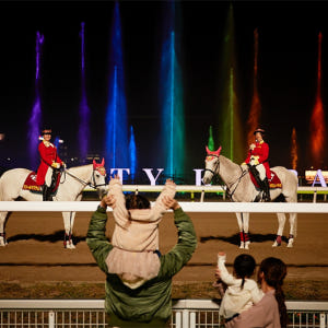 일본 TOKYO MEGA ILLUMI 2023-2024 입장권 솔직 후기 | 실사용자 리뷰 분석 - 상품 이미지 3