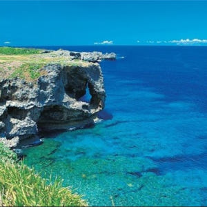 정기 관광버스 B코스 츄라우미(美ら海) 수족관과 나키진구스쿠(今帰仁城) ... 솔직 후기 | 실사용자 리뷰 분석 - 상품 이미지 1