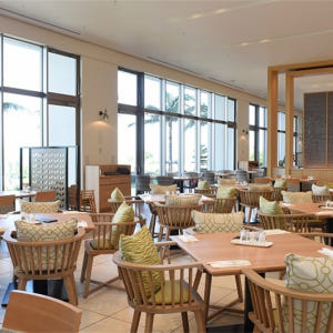 정기 관광버스 B코스 츄라우미(美ら海) 수족관과 나키진구스쿠(今帰仁城) ... 솔직 후기 | 실사용자 리뷰 분석 - 상품 이미지 2