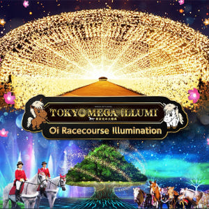 일본 TOKYO MEGA ILLUMI 2023-2024 입장권 솔직 후기 | 실사용자 리뷰 분석 - 상품 이미지 1