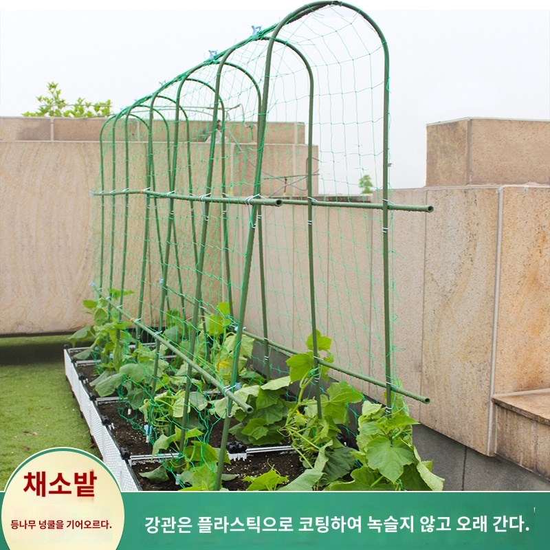 지주대 프레임 포도 장미 토마토 덩굴 식물지지대 - 상품 이미지