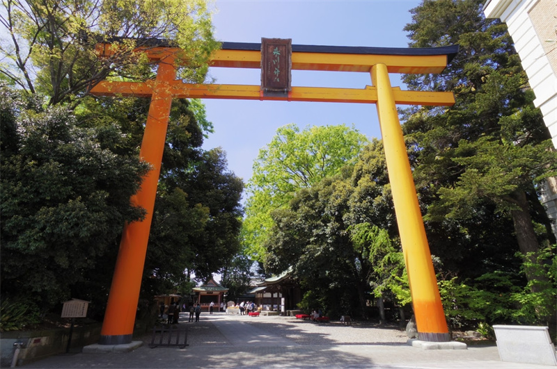 일본 세이부 카와고에 패스 이미지 4