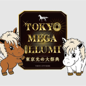 일본 TOKYO MEGA ILLUMI 2023-2024 입장권 솔직 후기 | 실사용자 리뷰 분석 - 상품 이미지 2