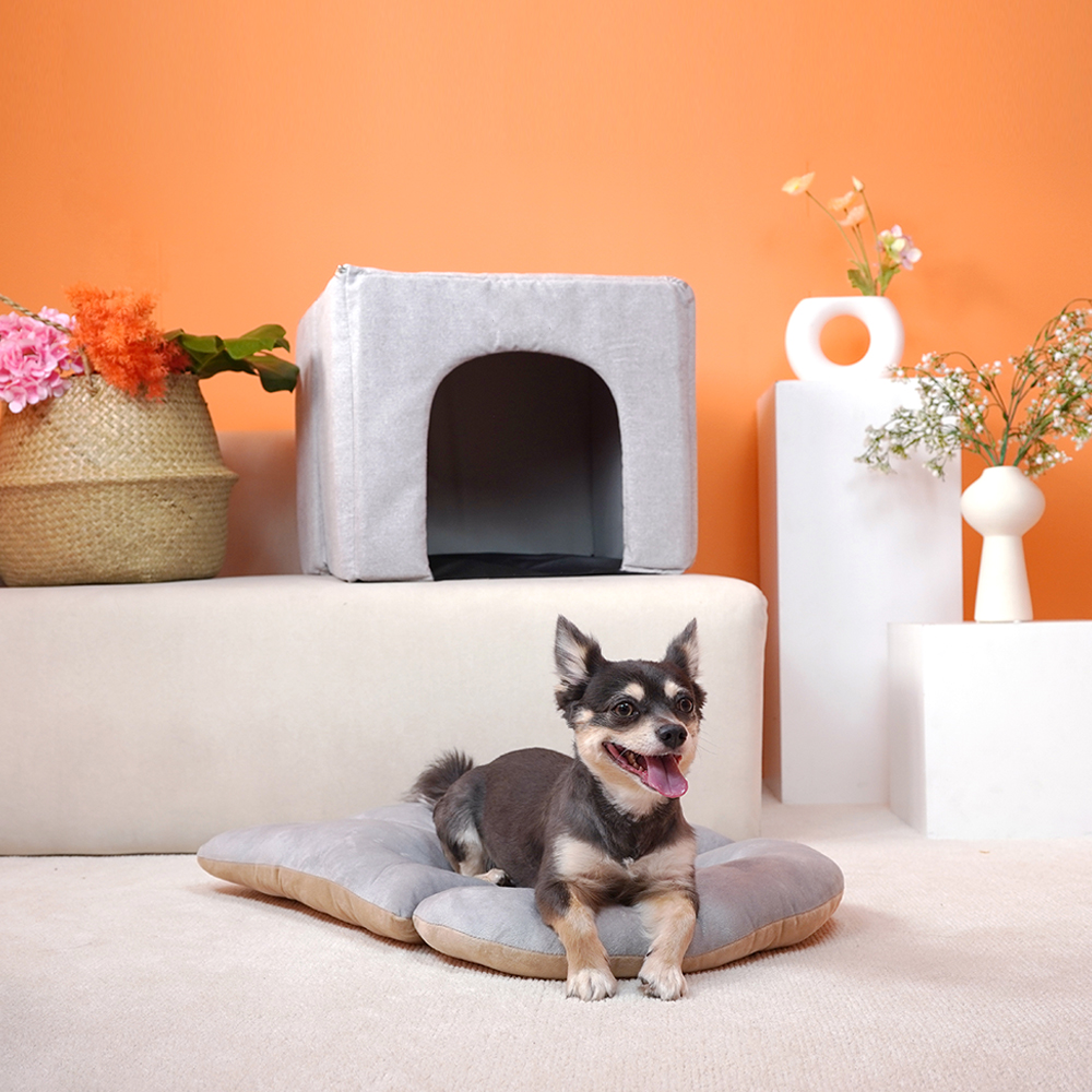 개과천선 모마펫 강아지 하우스 애견 꿀잠 동굴집 쿠션 하우스 고양이 숨숨집 논슬립 그레이