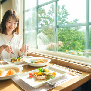 일본 니시테쓰 지역을 맛보는 여행열차 THE RAIL KITCHEN CH... 솔직 후기 | 실사용자 리뷰 분석 - 상품 이미지 1