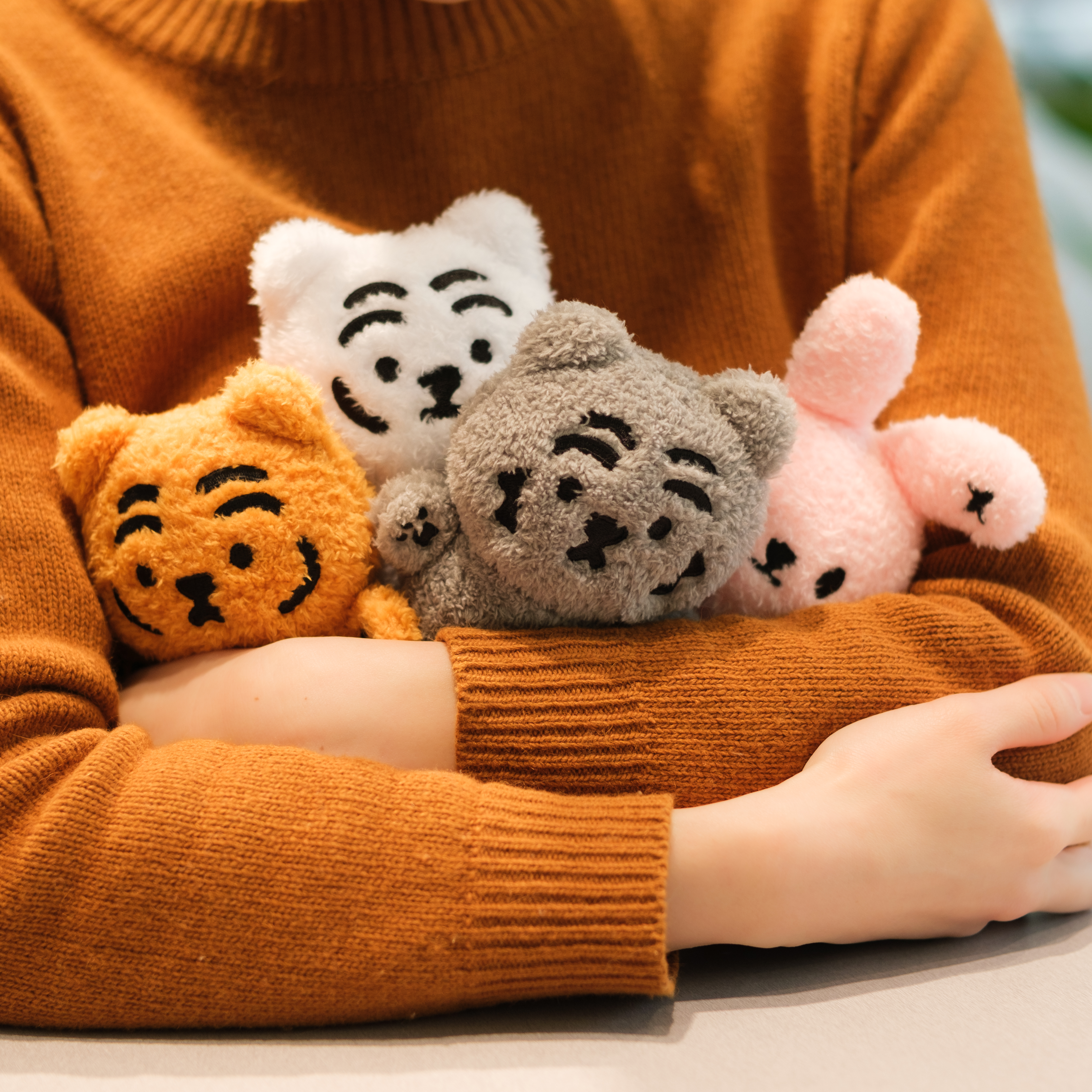 무직타이거 뚱랑이 미니 인형 4종 15cm 뚱랑이 호랑이 애착 봉제 인형 - 메인 이미지