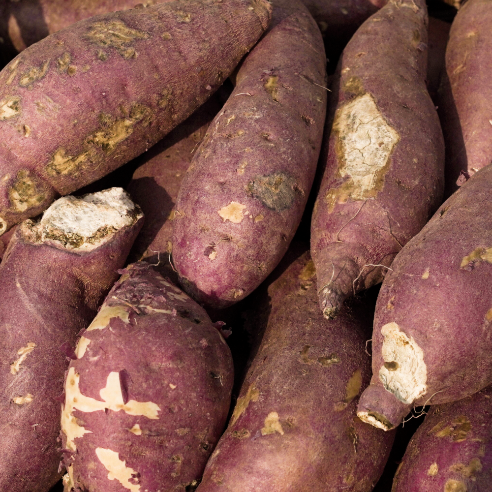 해뜨온 파지 고구마 2kg, 3kg, 5kg