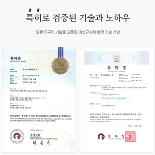 류충현 상황버섯 균사체 100% 분말 베타글루칸 SOD 폴리페놀 약용버섯 300g, 1개 이미지 4