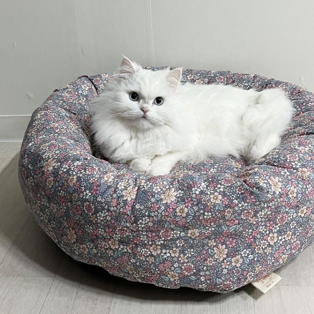 가티가티 고양이쿠션 방석 강아지 원형 M