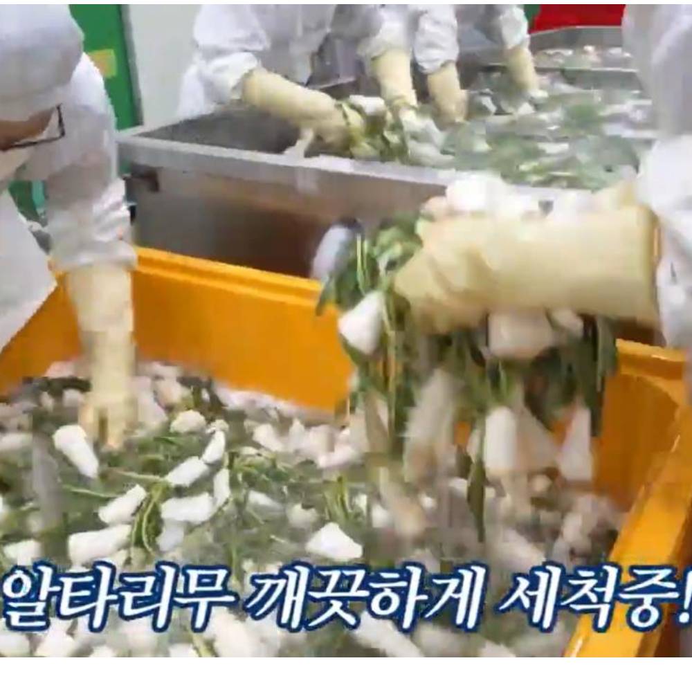 화원농협 이맑은 간수뺀 신안 천일염 절임 알타리 5kg - 상세 이미지 4