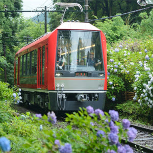 일본 하코네 가마쿠라 패스　이용 시작으로부터 3일 동안 유효 솔직 후기 | 실사용자 리뷰 분석 - 상품 이미지 3