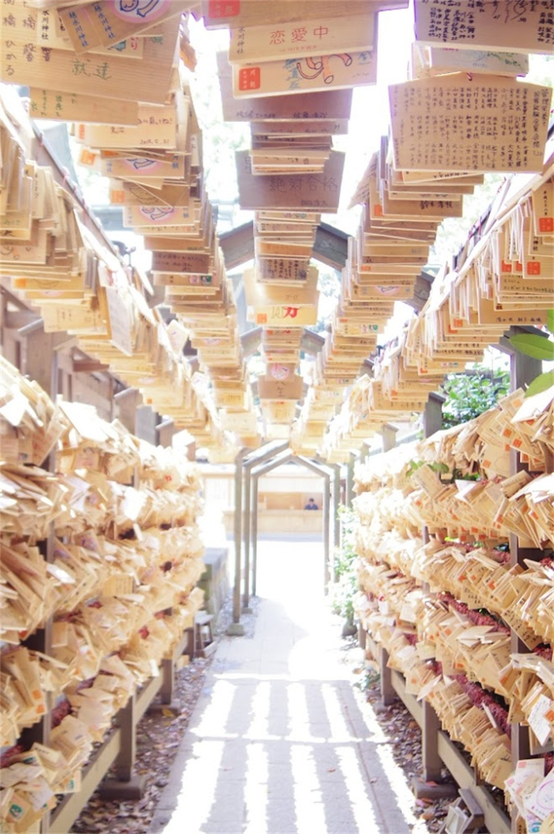 일본 SEIBU 1 Day Pass 이미지 3