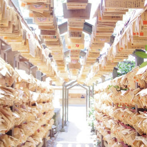 일본 SEIBU 1 Day Pass 솔직 후기 | 실사용자 리뷰 분석 - 상품 이미지 3