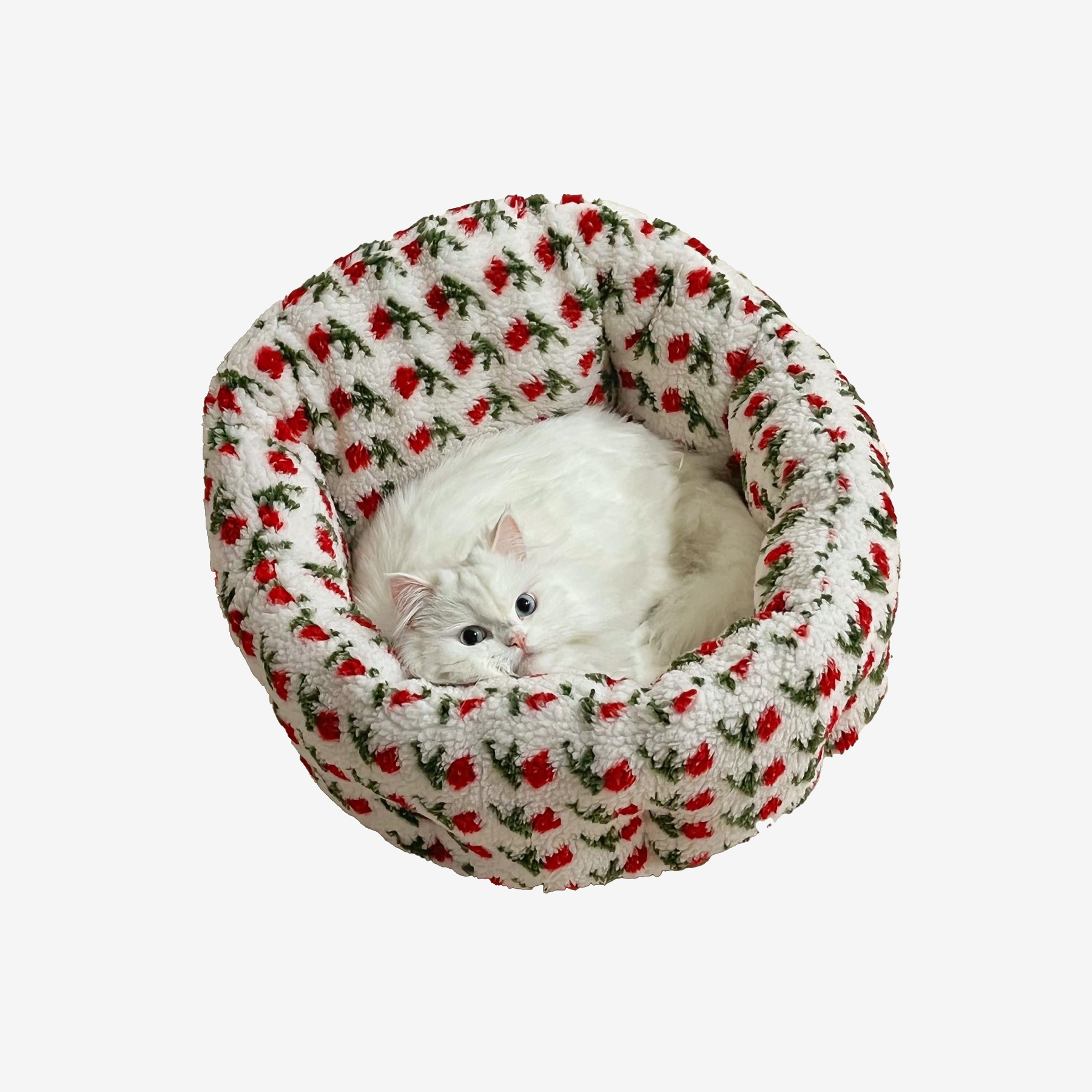 가티가티 고양이방석 쿠션 강아지 화이트로즈