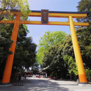 일본 SEIBU 1 Day Pass 솔직 후기 | 실사용자 리뷰 분석 - 상품 이미지 2