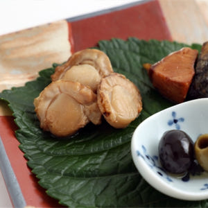 일본 TOHAKU 다관의 시그니처 오가닉 사케(아라마사 아마네코) 1잔+... 솔직 후기 | 실사용자 리뷰 분석 - 상품 이미지 3