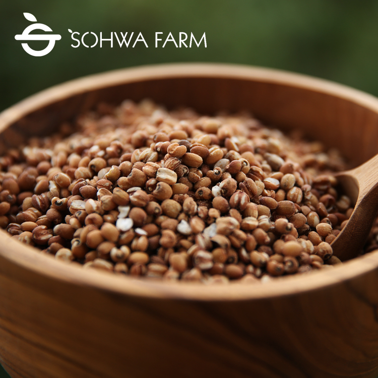 10kg코너 2024년 국산 현미율무 10kg 율무쌀 잡곡