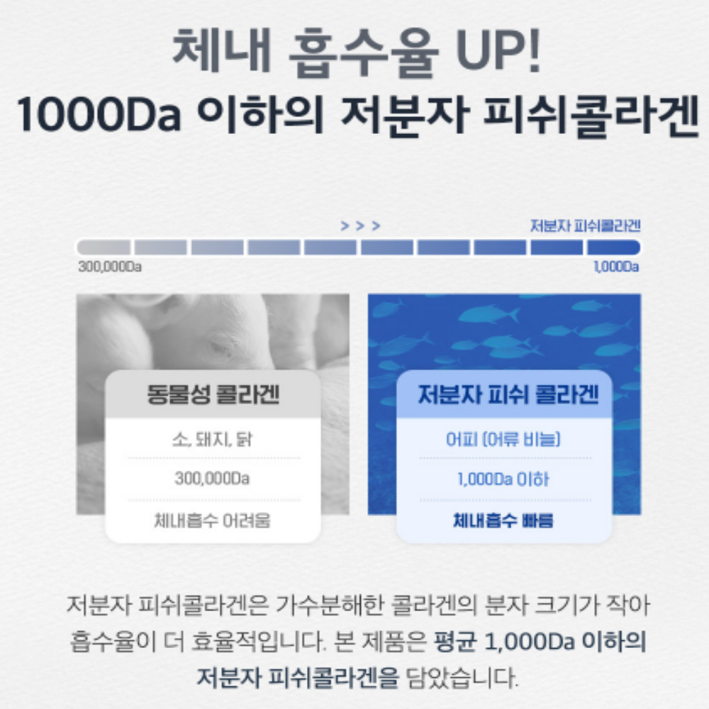 영양제쇼핑몰 프로테오글리칸 연어코연골 아세틸글루코사민 분말 이미지 4