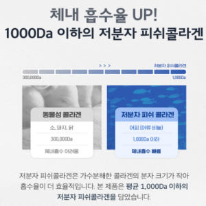 영양제쇼핑몰 프로테오글리칸 연어코연골 아세틸글루코사민 분말 맛있게 먹은 솔직 후기 - 상품 이미지 4