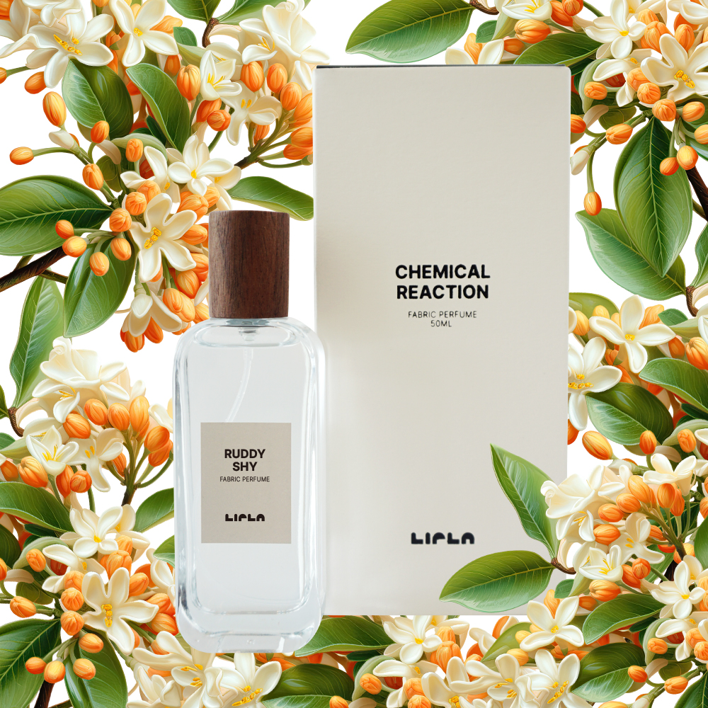 금목서 꽃향기 섬유향수 RUDY SHY 루디샤이 / GENTLE BROWN 젠틀브라운 50ml - 상품 이미지