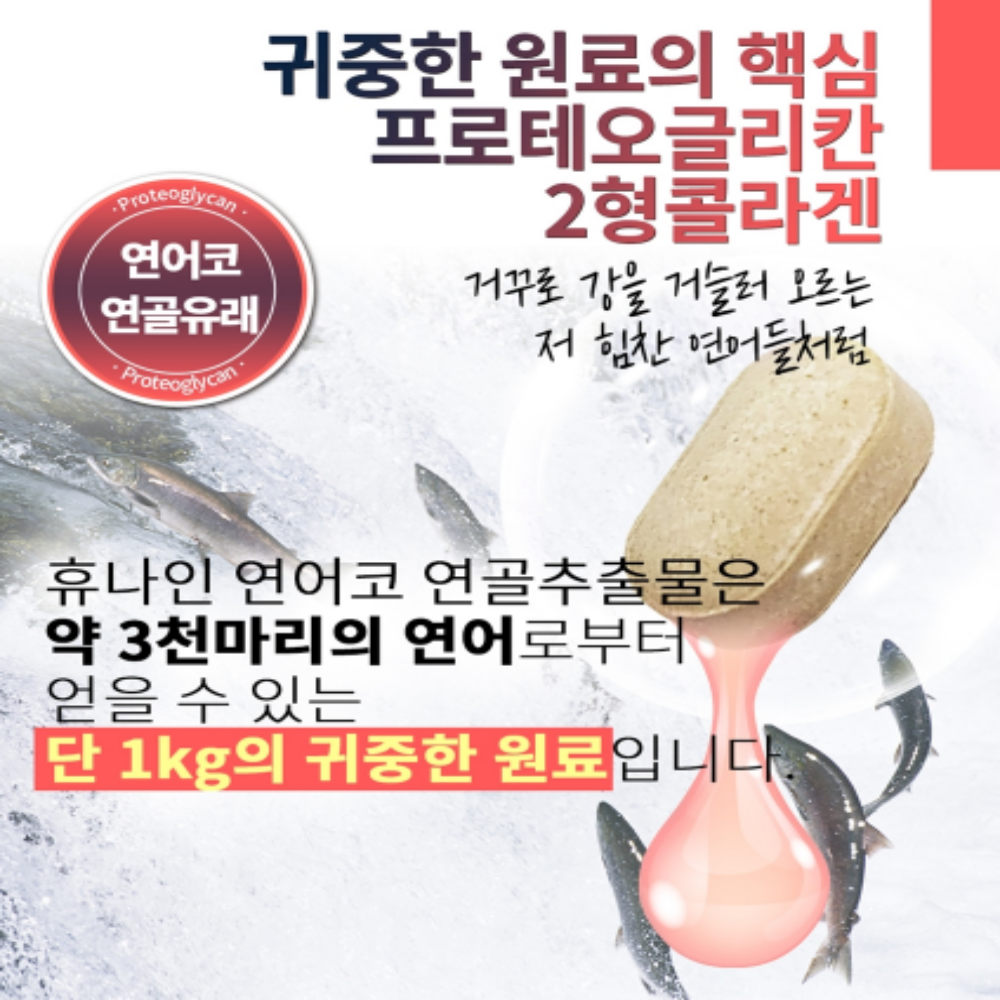 알약 프로테오글리칸 연어코 연골 구절초 - 상세 이미지 4