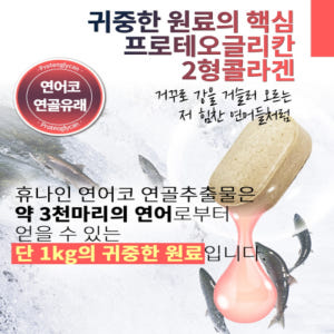 알약 프로테오글리칸 연어코 연골 구절초 맛있게 먹은 솔직 후기 - 상품 이미지 4