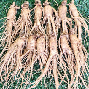 금산인삼 난발삼 파삼 중 난발삼 1채 750g 맛있게 먹은 솔직 후기 - 상품 이미지 2