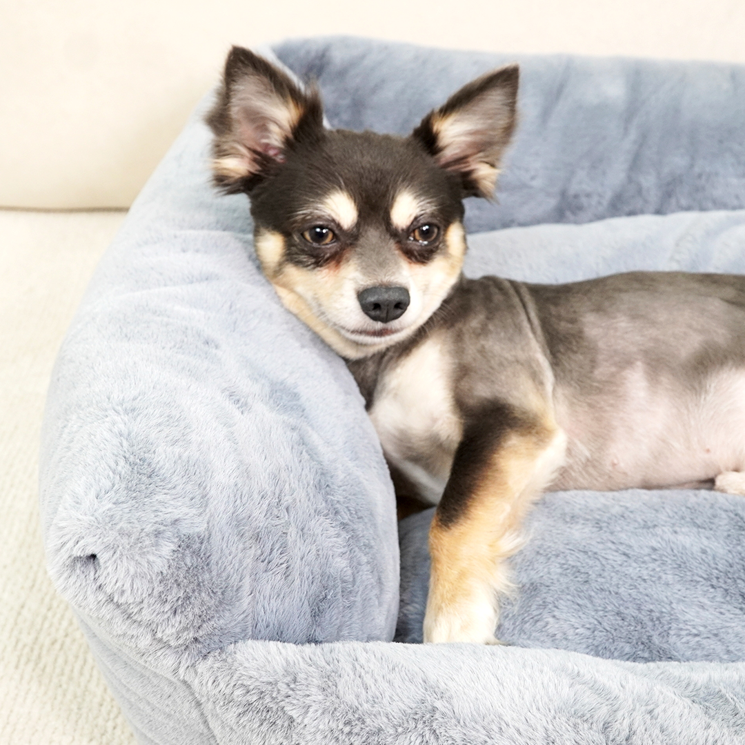 개과천선 카소 애견 강아지 방석 슬개골 예방 마약방석 고양이 겨울용 다크 그레이 대형