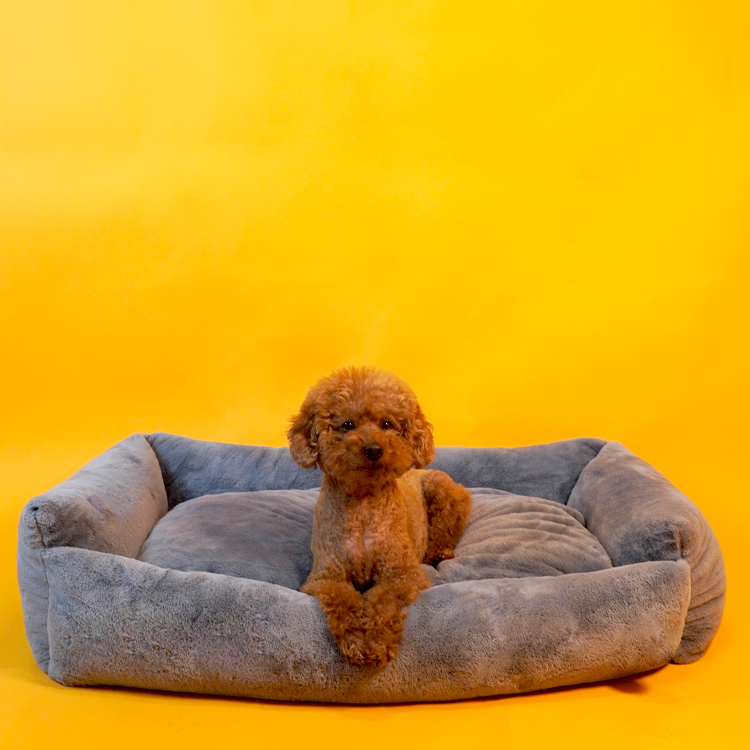 개과천선 카소 애견 강아지 방석 슬개골 예방 마약방석 고양이 겨울용 다크 그레이 대형