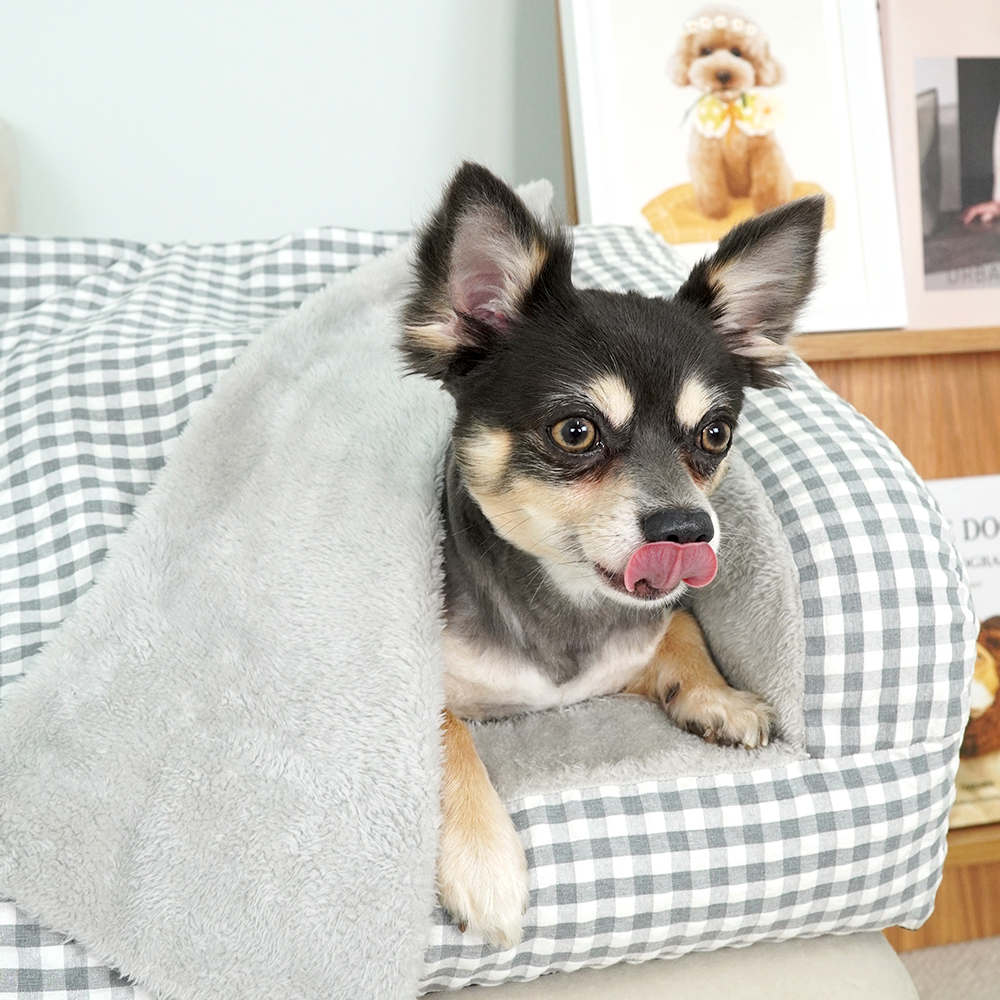 개과천선 C크라 강아지 소파 침대 고양이 방석 애견 꿀잠 침대 담요 베개 세트 중형견 - 상세 이미지 3