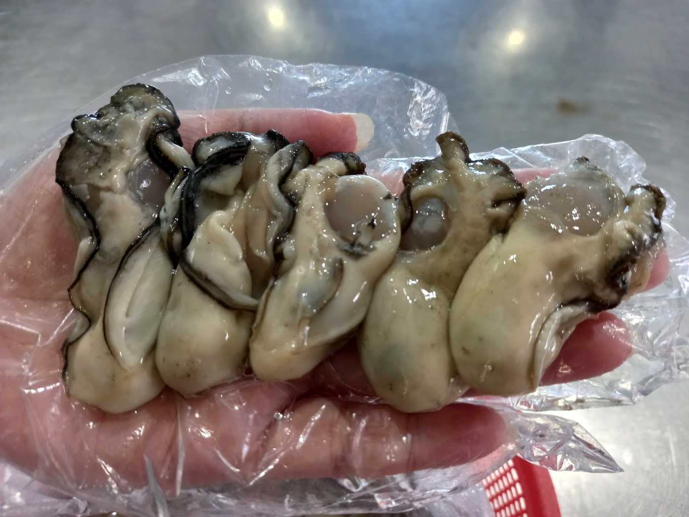 (산지직송)통영 제철 싱싱한 생굴 1kg 알굴 굴무침 - 상세 이미지 3