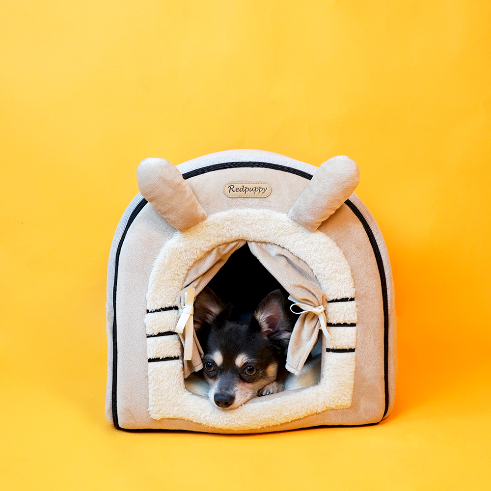 개과천선 큐티 래빗 강아지 하우스 고양이 동글이 하우스 애견 캐릭터 동굴 하우스 숨숨집