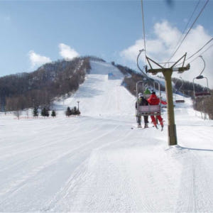 일본  [홋카이도 스키]삿포로 후지노 후의 설원 중국어 강습 스키 일일 ... 솔직 후기 | 실사용자 리뷰 분석 - 상품 이미지 4