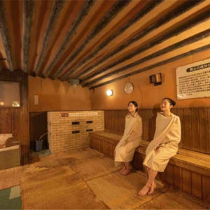 일본  도키노스미카 이즈 온천 마을 햐쿠와라이노 유 | 순수 온천 입장권... 솔직 후기 | 실사용자 리뷰 분석 - 상품 이미지 1