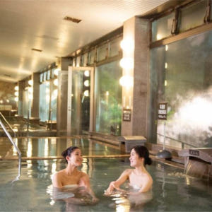 일본  도키노스미카 이즈 온천 마을 햐쿠와라이노 유 | 순수 온천 입장권... 솔직 후기 | 실사용자 리뷰 분석 - 상품 이미지 2