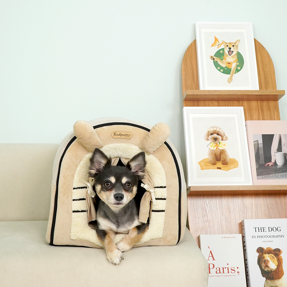 개과천선 큐티 래빗 강아지 하우스 고양이 동글이 하우스 애견 캐릭터 동굴 하우스 숨숨집