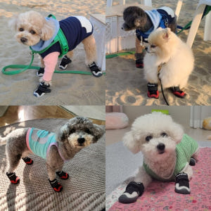 [강아지의날] 강아지 신발 염화칼슘 겨울산책 생활방수 슈즈 솔직 후기 | 실제 사용자 리뷰 총정리 - 상품 이미지 3