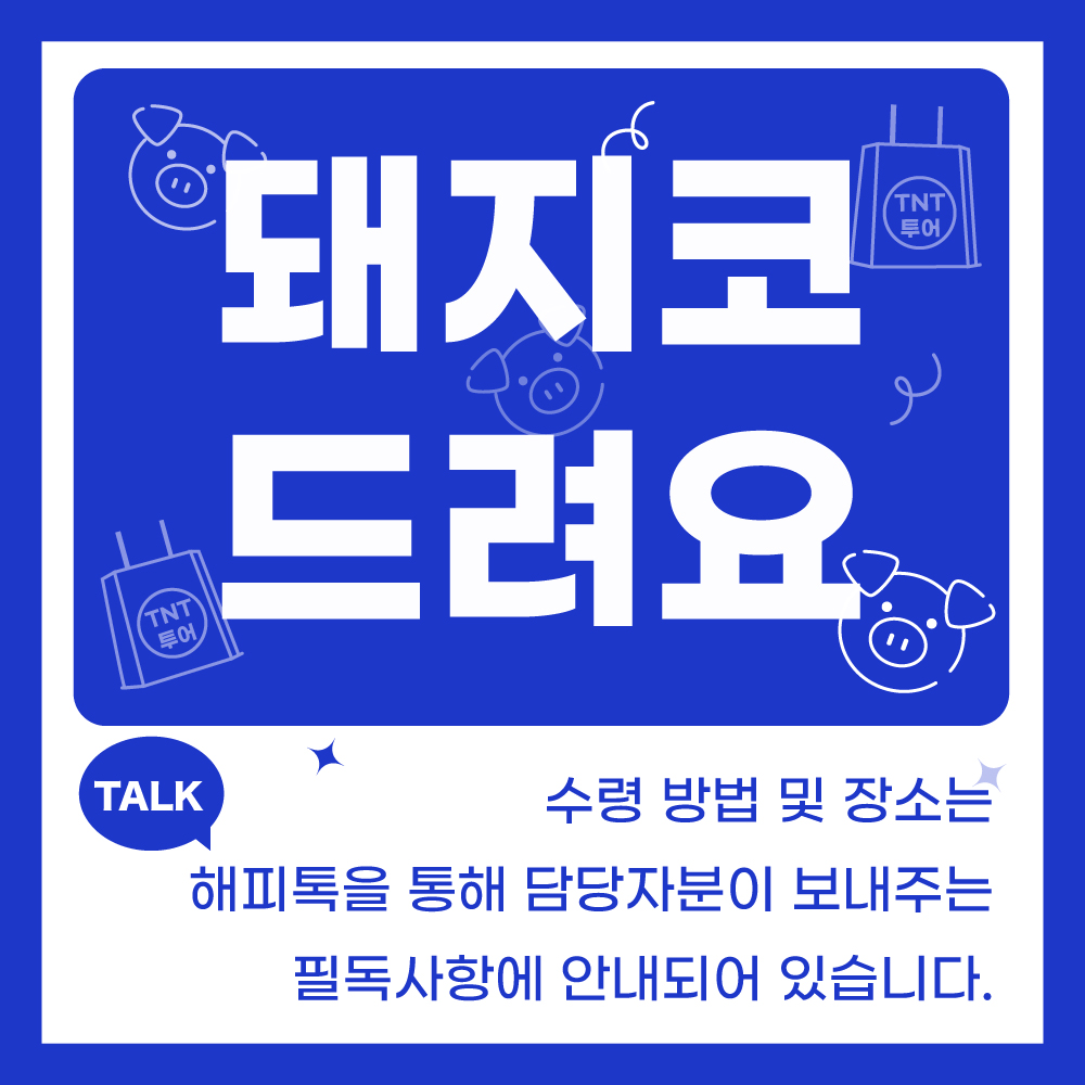 부산 후쿠오카 배편 뉴카멜리아호 승선권 구매 가이드 예약과 후기까지 꼼꼼히 살펴보기