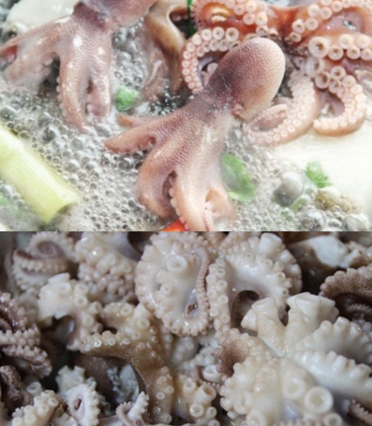 냉동쭈꾸미(주꾸미)1kg (6-7마리내외) 주꾸미볶음 - 상세 이미지 4