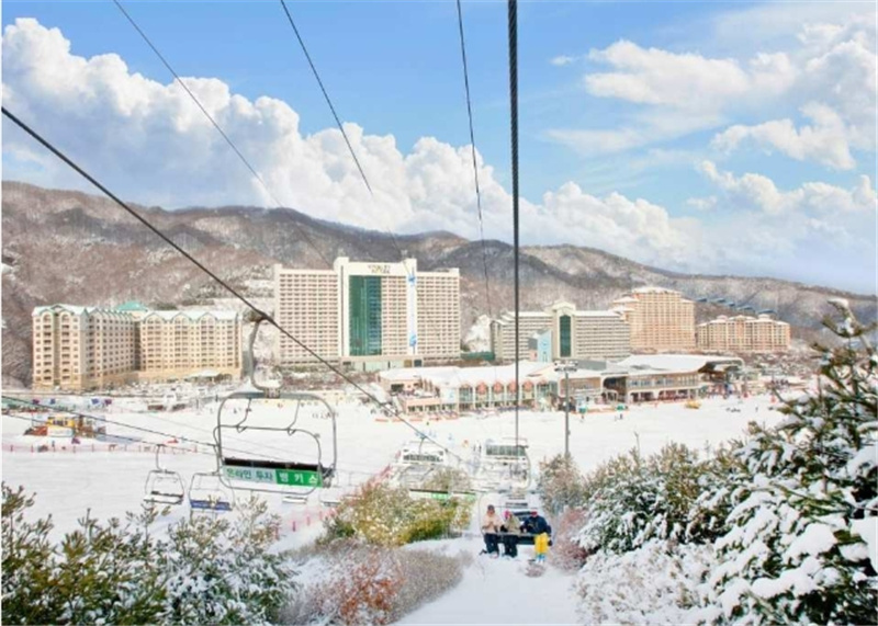 한국 서울 출발 │ 비발디파크, 올리마운틴리조트, 엘리시안 강촌, 지산, 곤지암... 각종 스키장 전세 차량 이동 │ 공항 추가 이동 가능 이미지 2