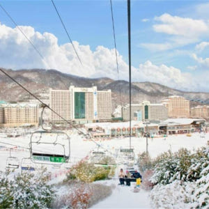 한국 서울 출발 │ 비발디파크, 올리마운틴리조트, 엘리시안 강촌, 지산,... 솔직 후기 | 실사용자 리뷰 분석 - 상품 이미지 2