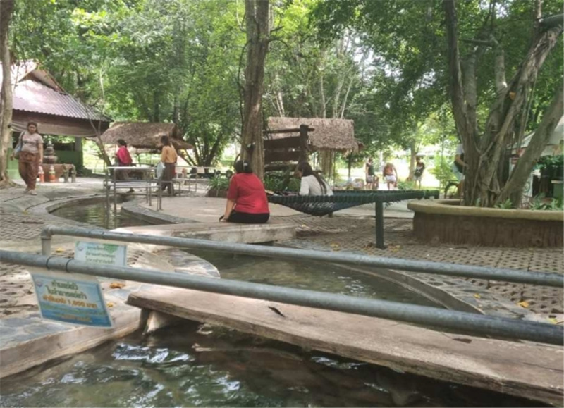 태국 우산 마을 & 산캄팽 온천 프라이빗 투어 이미지 2