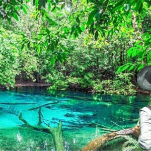 태국  호랑이 동굴 사원, 에메랄드 풀 및 온천 종일 투어 | 끄라비 솔직 후기 | 실사용자 리뷰 분석 - 상품 이미지 1