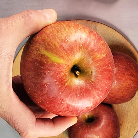 경북 부사 사과 가정용 4.5kg 10kg 청송 못난이사과 흠과