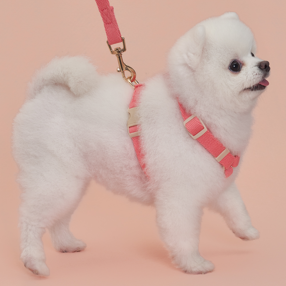 강아지 하네스 H형 하네스 강아지 가슴줄 하네스 추천 강아지 용품