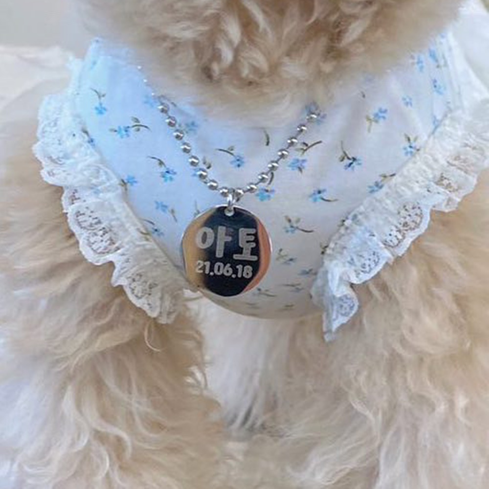 강아지 목걸이 인식표 이름표 소형견 중형견 써지컬각인 20mm 2.4mm 원형각인 고양이