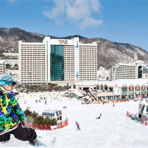 한국 일일 스키 프라이빗 투어 | 엘리시안 x 비발디파크 홍천대명 x 지... 솔직 후기 | 실사용자 리뷰 분석 - 상품 이미지 3