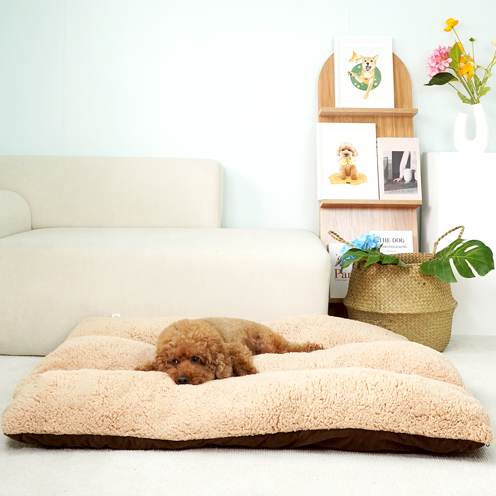 개과천선 르뽀렘 강아지 사각 쿠션 극세사 양털 양면 방석 대형견 꿀잠 애견 침대 브라운