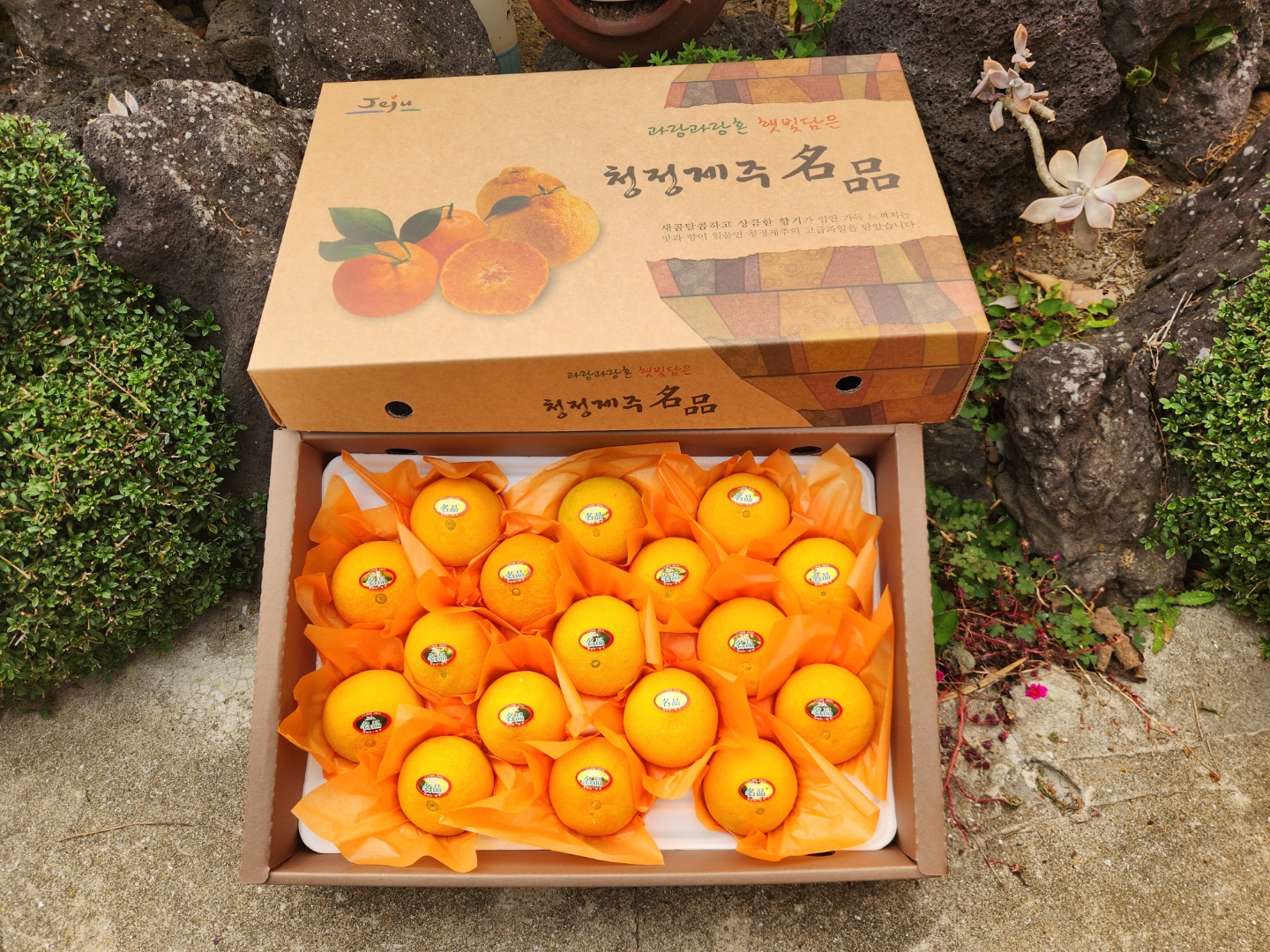 맛보장 위미 효돈 조생 노지 감귤 황금향 3kg 5kg 10kg 사이즈 혼합 이미지 6