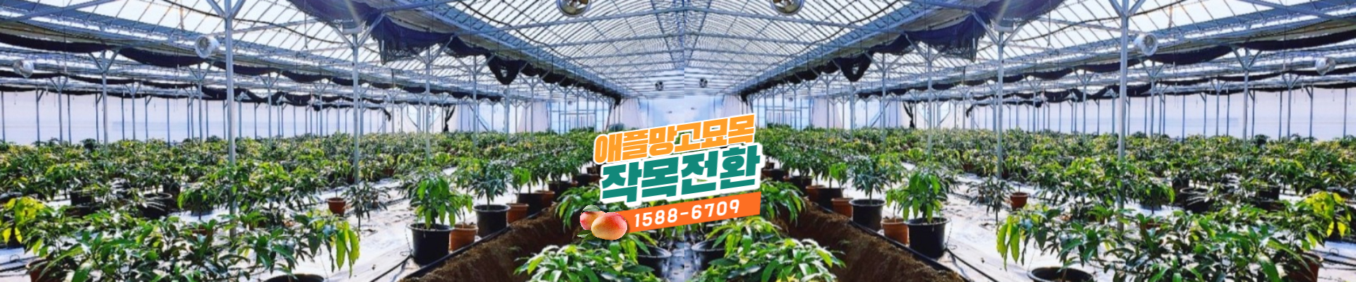 황금낭 공식 웹사이트